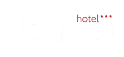 hotel tonino - new logo high